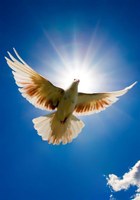 Infant Camryn Jade Wesch-Perzanowski