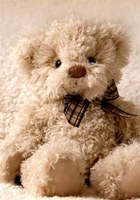 Paisley Lynn Surline