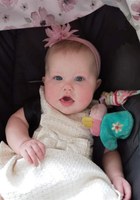 Willow Ember Sky Perron